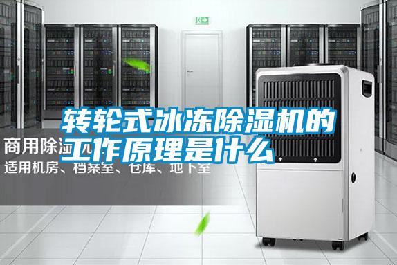 轉輪式冰凍除濕機的工作原理是什么