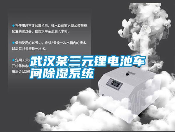 武漢某三元鋰電池車(chē)間除濕系統(tǒng)