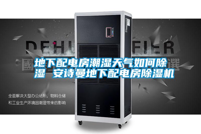 地下配電房潮濕天氣如何除濕 安詩(shī)曼地下配電房除濕機(jī)