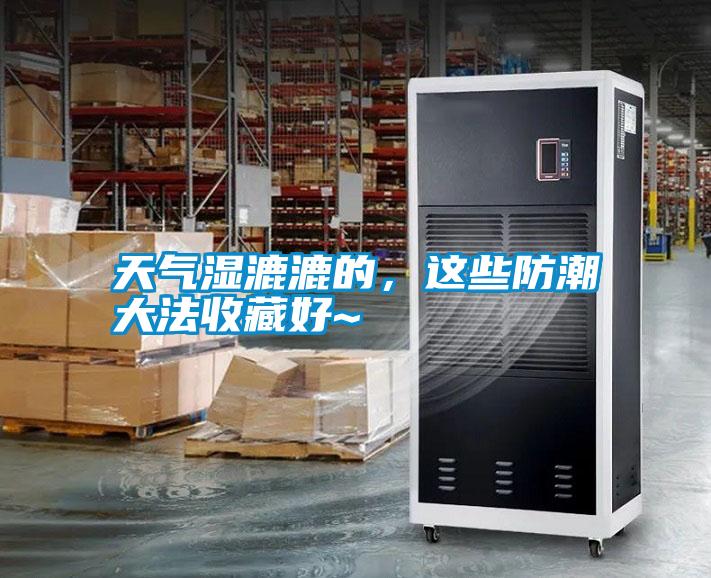 天氣濕漉漉的，這些防潮大法收藏好~