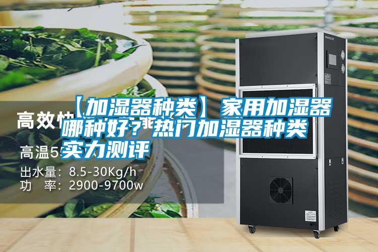 【加濕器種類】家用加濕器哪種好?熱門加濕器種類實(shí)力測(cè)評(píng)