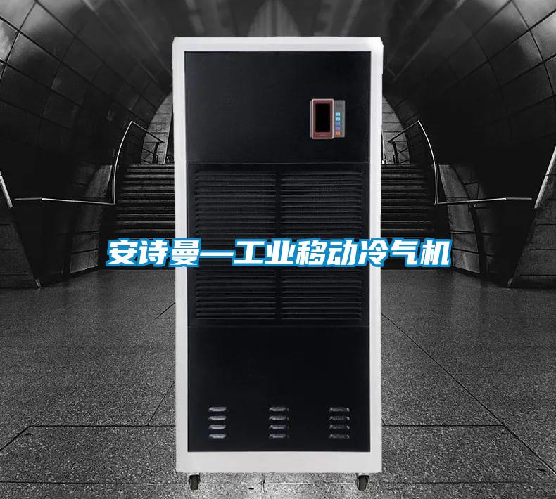安詩曼—工業(yè)移動(dòng)冷氣機(jī)