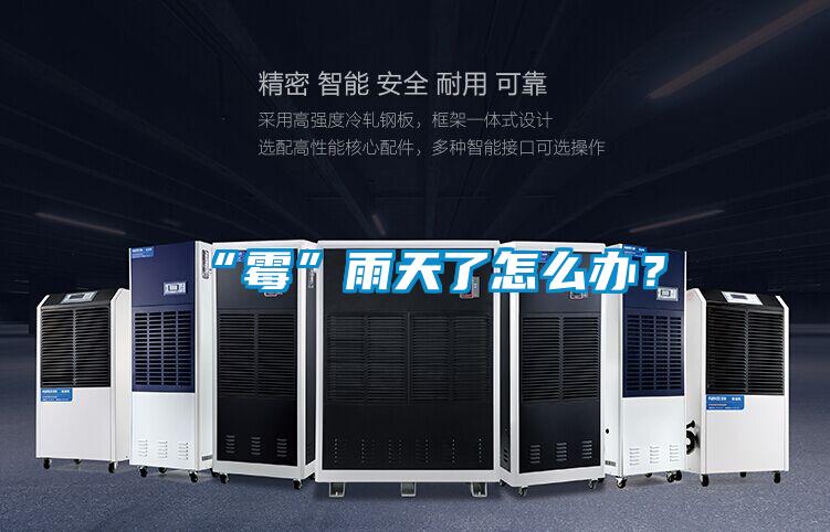 “霉”雨天了怎么辦？