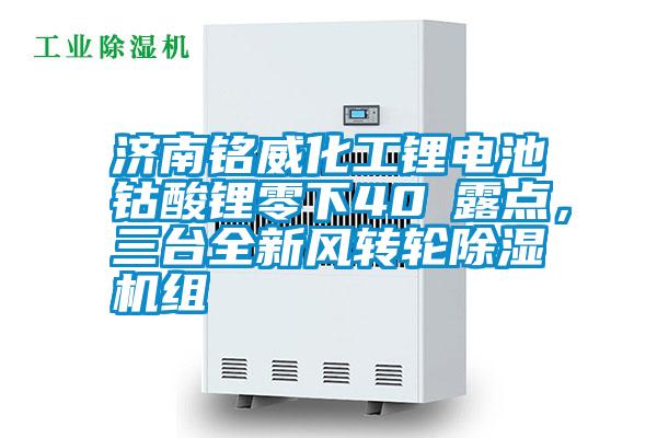 濟(jì)南銘威化工鋰電池鈷酸鋰零下40℃露點(diǎn),三臺(tái)全新風(fēng)轉(zhuǎn)輪除濕機(jī)組