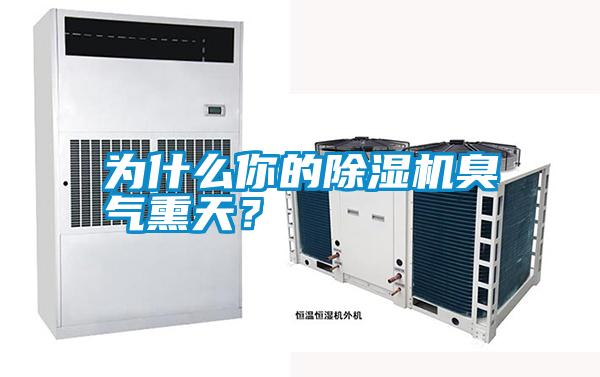為什么你的除濕機(jī)臭氣熏天?