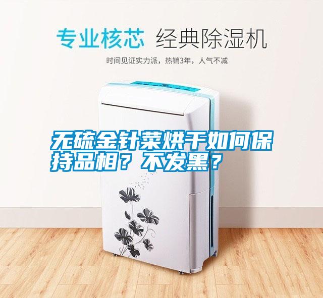 無硫金針菜烘干如何保持品相？不發(fā)黑？