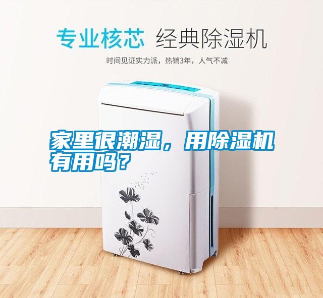 家里很潮濕,用除濕機(jī)有用嗎?