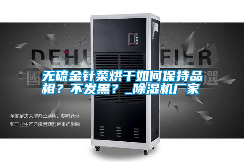 無硫金針菜烘干如何保持品相？不發(fā)黑？_除濕機(jī)廠家