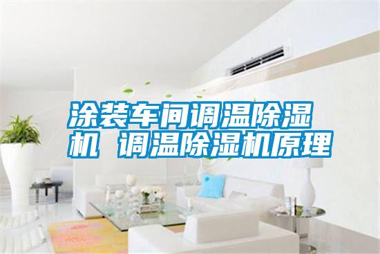 涂裝車間調溫除濕機 調溫除濕機原理