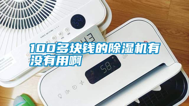 100多塊錢的除濕機(jī)有沒有用啊
