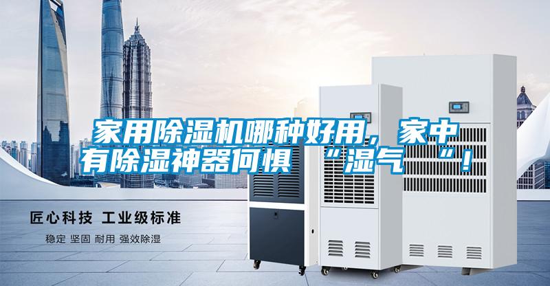 家用除濕機(jī)哪種好用，家中有除濕神器何懼 “濕氣 “！