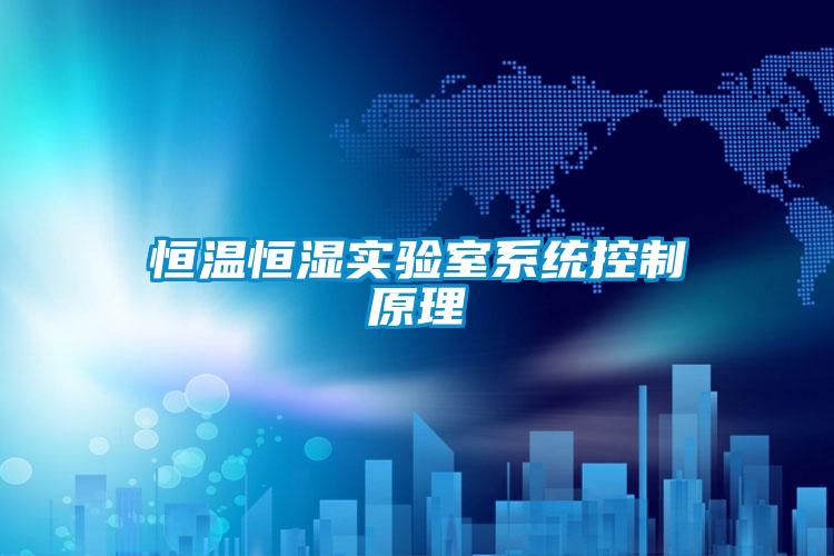 恒溫恒濕實(shí)驗(yàn)室系統(tǒng)控制原理