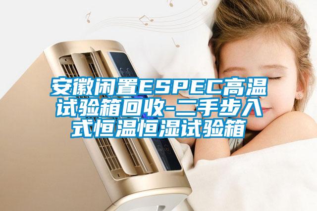 安徽閑置ESPEC高溫試驗(yàn)箱回收-二手步入式恒溫恒濕試驗(yàn)箱
