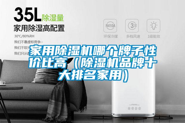 家用除濕機哪個牌子性價比高（除濕機品牌十大排名家用）