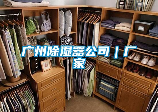 廣州除濕器公司|廠家