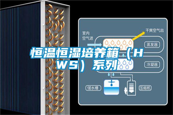 恒溫恒濕培養箱（HWS）系列
