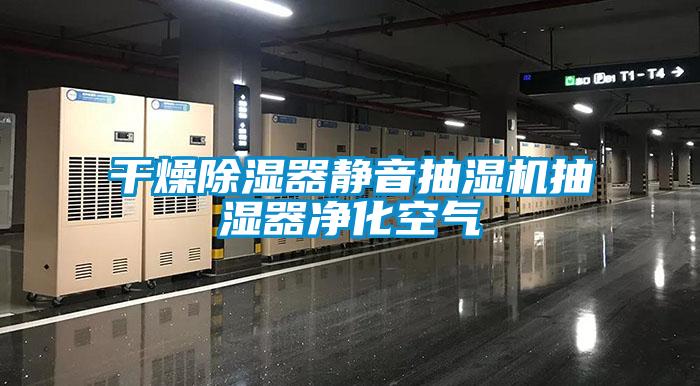 干燥除濕器靜音抽濕機抽濕器凈化空氣