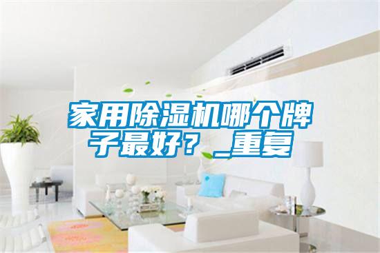 家用除濕機哪個牌子最好?_重復