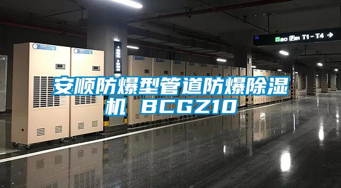 安順防爆型管道防爆除濕機(jī) BCGZ10