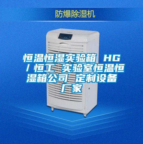 恒溫恒濕實驗箱 HG／恒工 實驗室恒溫恒濕箱公司 定制設備廠家