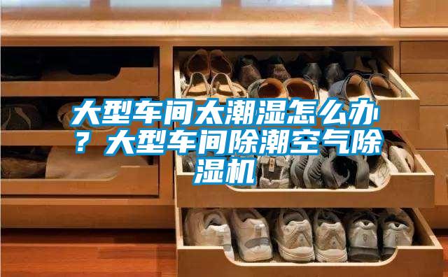大型車間太潮濕怎么辦？大型車間除潮空氣除濕機