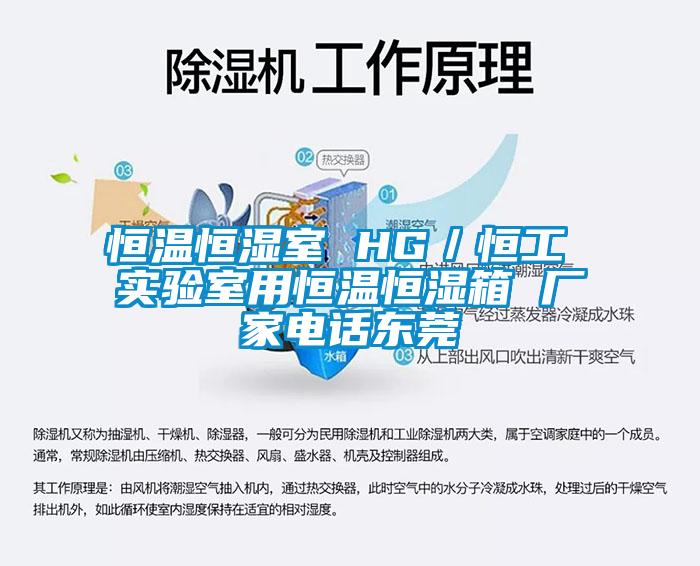 恒溫恒濕室 HG/恒工 實驗室用恒溫恒濕箱 廠家電話東莞