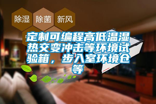 定制可編程高低溫濕熱交變沖擊等環(huán)境試驗箱，步入室環(huán)境倉等