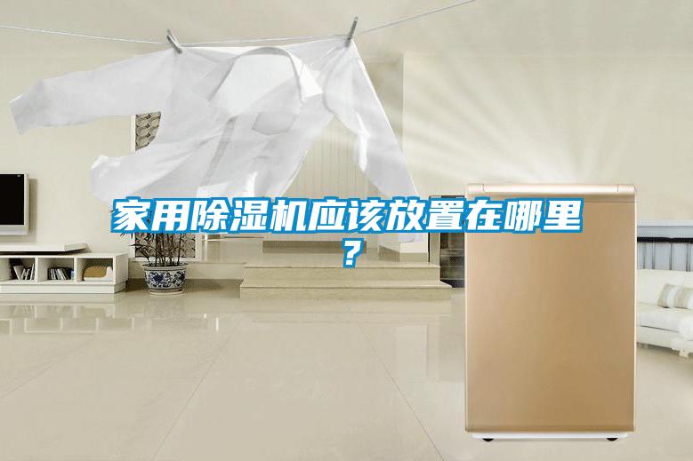 家用除濕機應該放置在哪里?