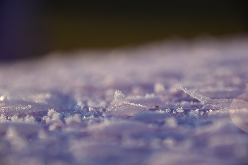 你知道除濕機為什么需要自動化霜嗎？ 冷凍式除濕機化霜功能